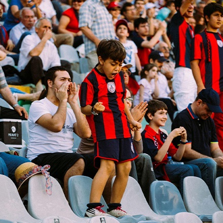 Team Cohesion and Shared Purpose: Random Thoughts on Sports Fanaticism